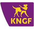 kngf.png